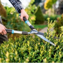 PRUNERS AND SHEARS